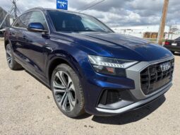 2019 Audi Q8 Progressiv 55 TFSI Quattro
